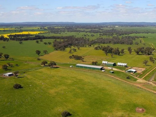Mixed Farming/Cattle Enterprise or Commodity Trading - 1,262.36 Acres with home