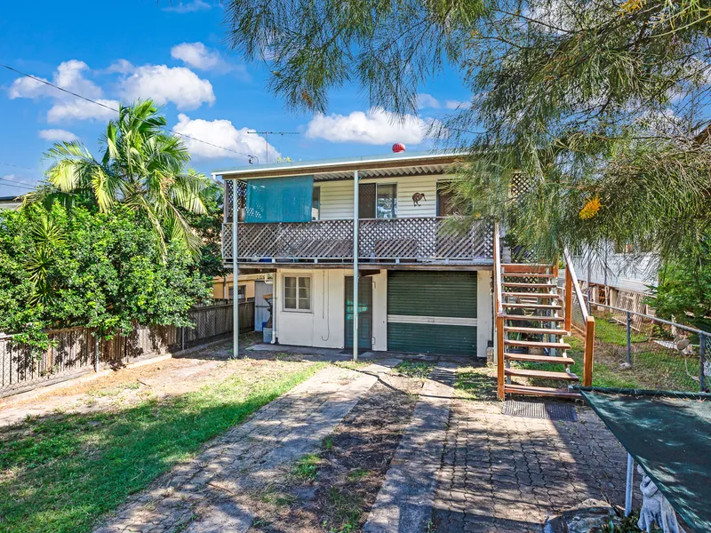 THE RENOVATOR YOU HAVE BEEN WAITING FOR 