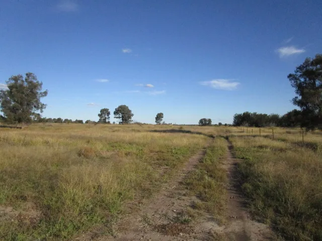 Fully fenced with large Dam