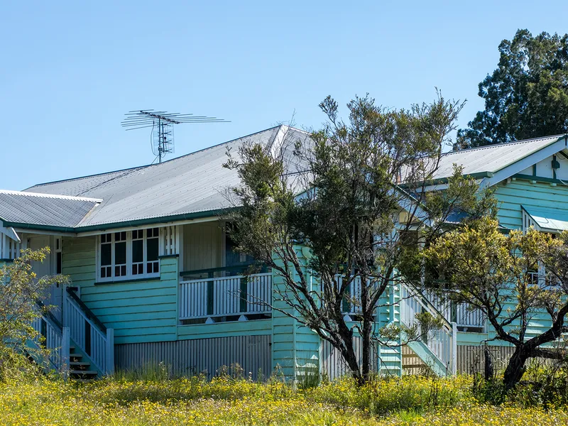 Are you ready for a tree change?