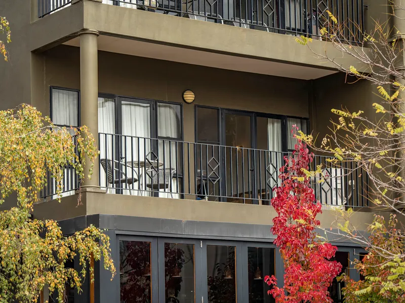 Studio apartment - light, bright, convenient and affordable!