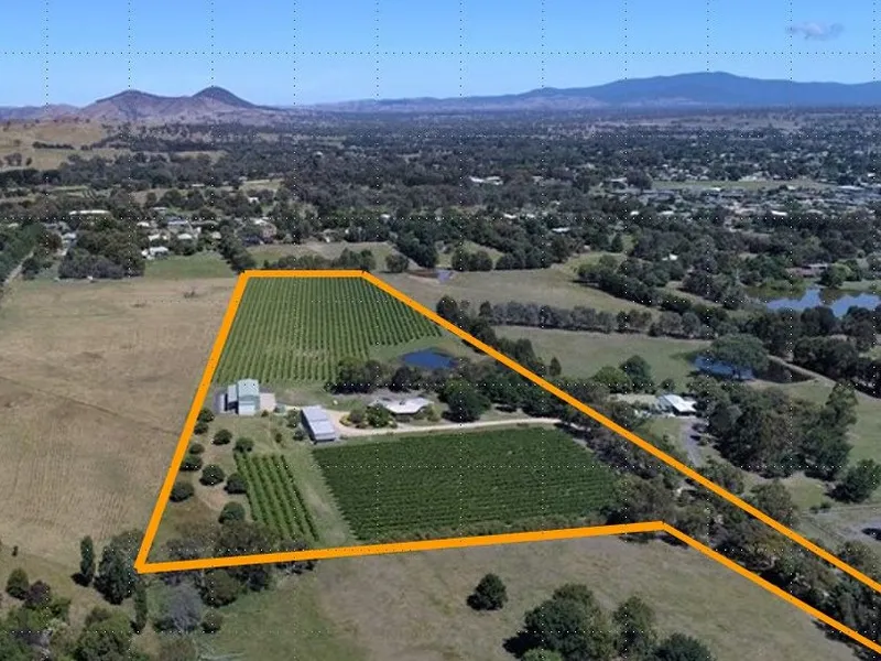 MT BULLER VIEW LIFESTYLE WINERY & HOME OR SUBDIVISION PROPOSITION