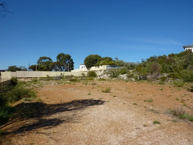 Calling all Developers!