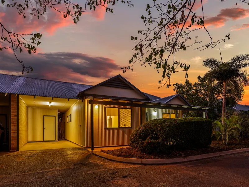 Wonderful Whimbrel Unit - More Photos To Come