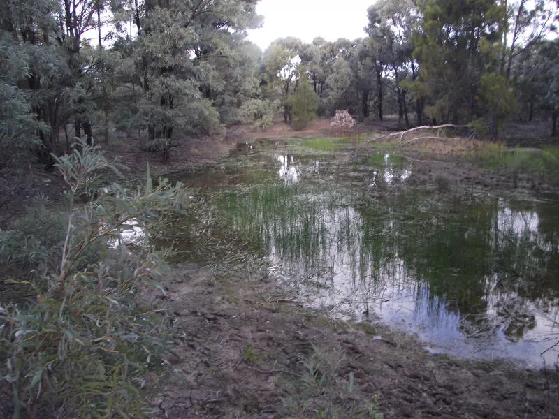 Brigalow  Acreage - 12Ha