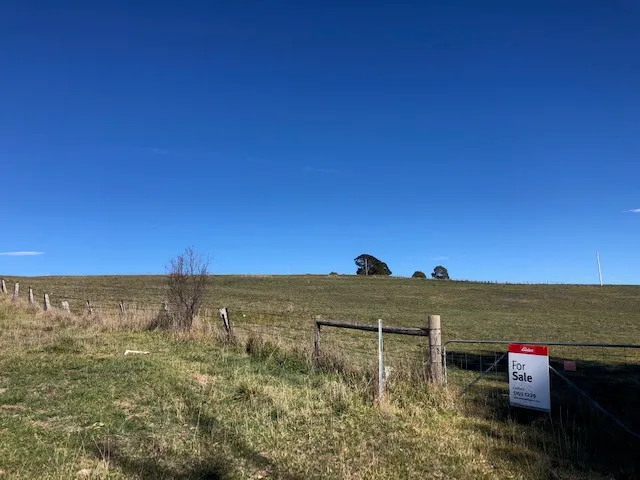 Vacant Land including Titles