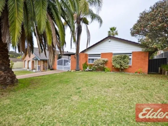 Endless Potential & Possibilities