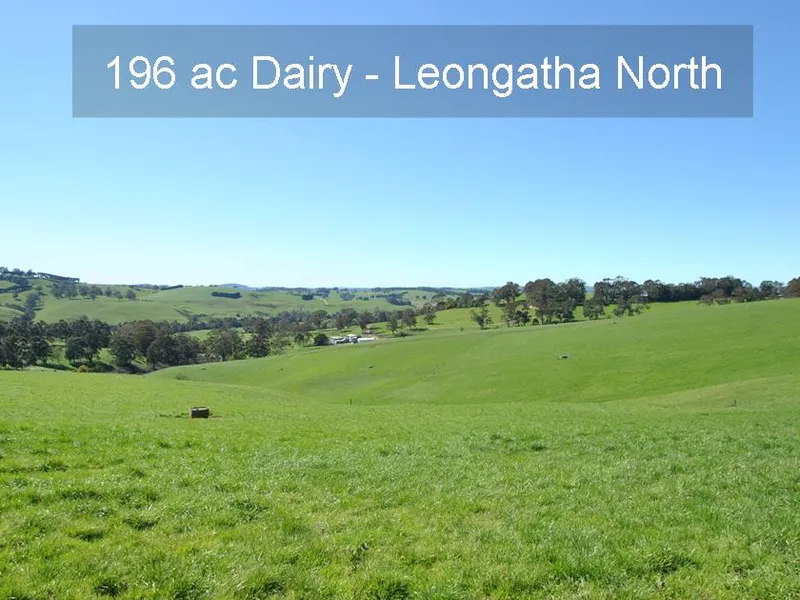 196 OF THE BEST – DAIRY OR BEEF PRODUCTION – LIFESTYLE