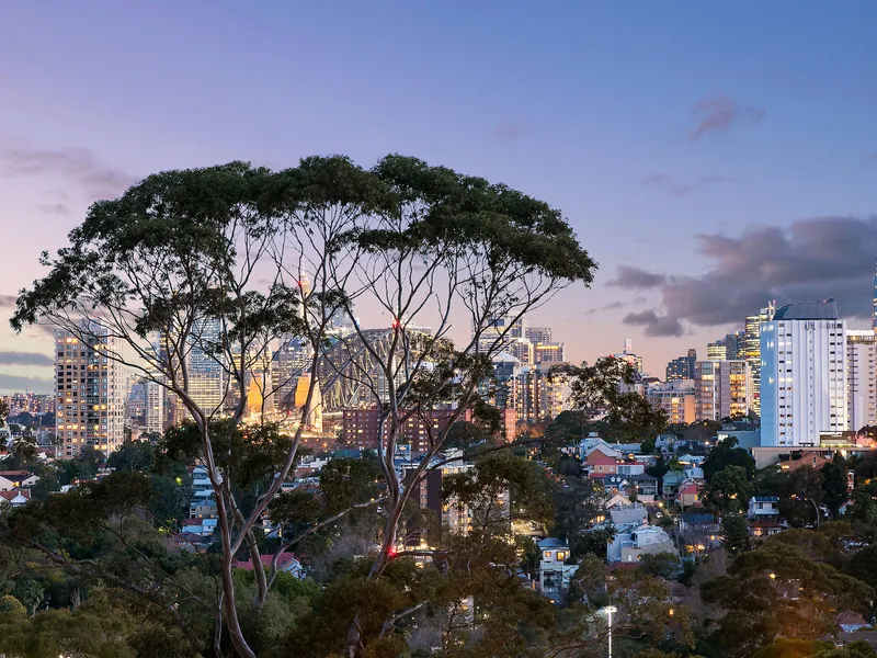 Superb Executive Semi 