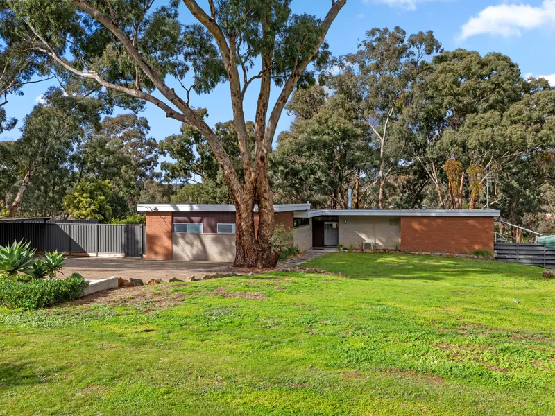 MID CENTURY FAMILY OASIS