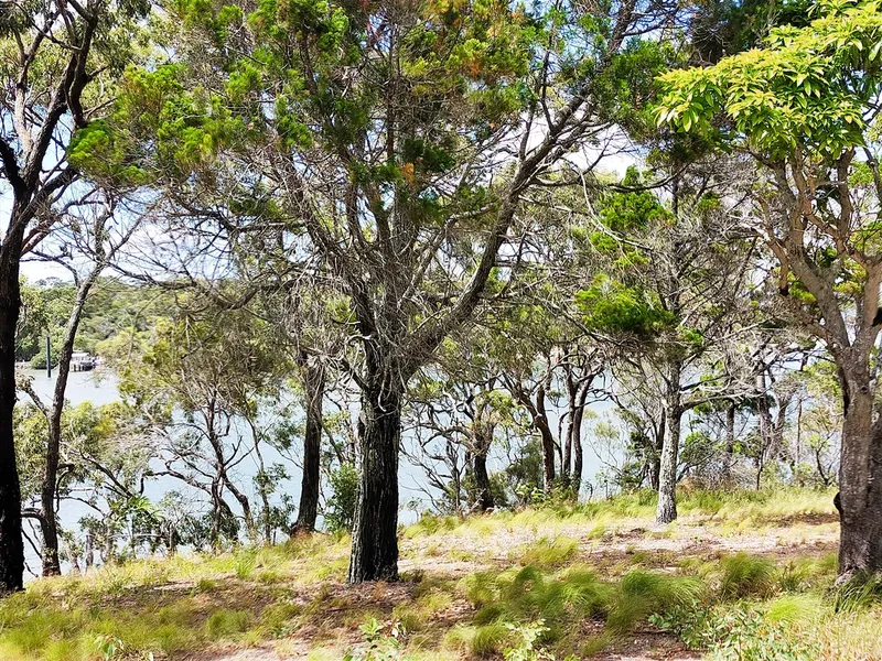 Seize Your Island Dream!  Spectacular Waterfront Land on Macleay Island 