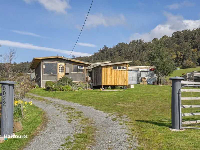 Sweet Cabin-Style Home in Peaceful Glendevie