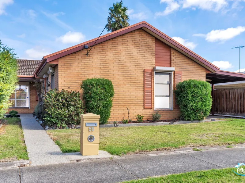 Entertainer's Delight!