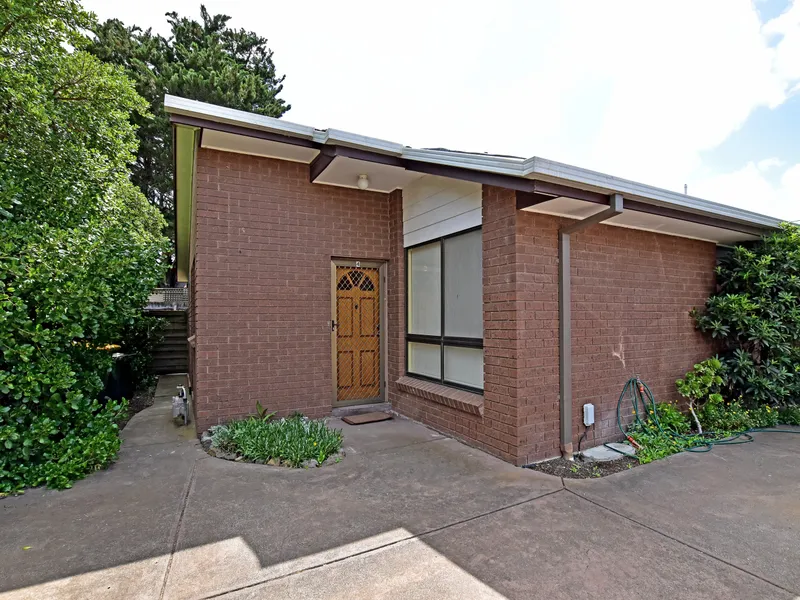 Newly Renovated in Prime Location