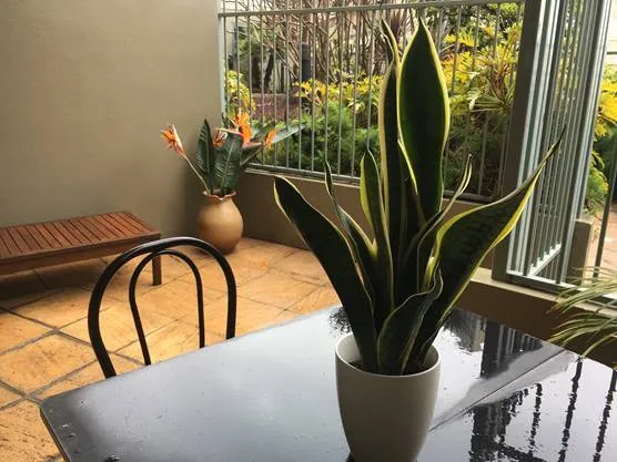 Beach and village life