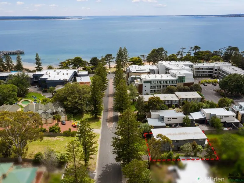 The ultimate investment