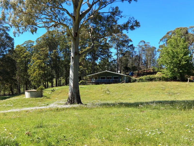FERTILE HIGH COUNTRY TREE CHANGE PROPERTY