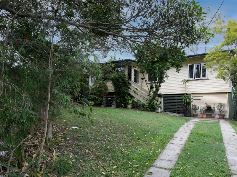 Quiet and Elevated with a Leafy Outlook