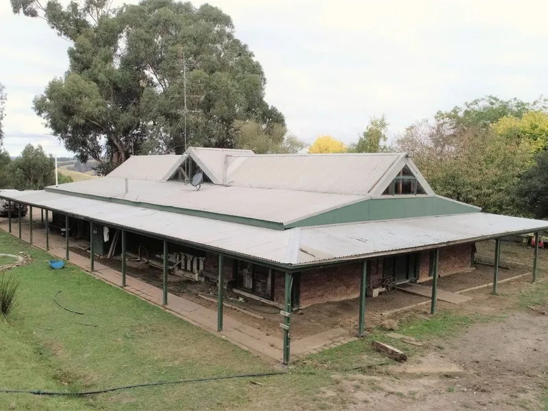 KNOCK, KNOCK? WHO’S THERE? TIM. TIM WHO? TIMBER.