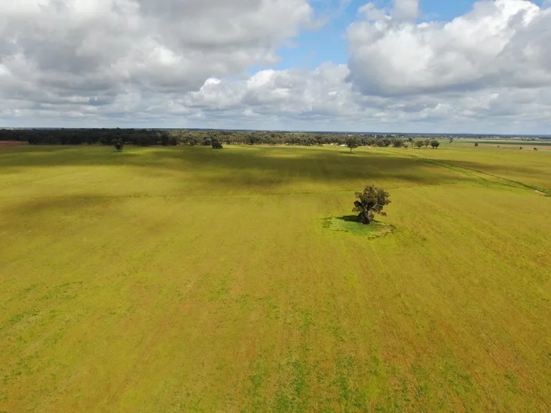 Golden Opportunity To Purchase Small Farm In Tightly Held District