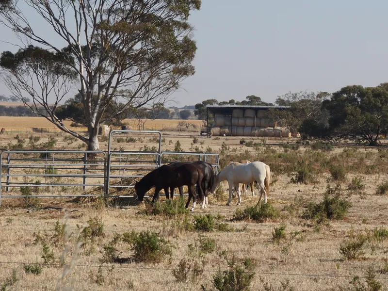 10 Acres - Scheme Water - Affordable