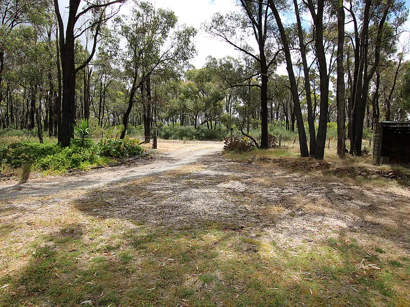 1 acre property in the edge of town and bushland.