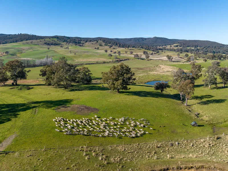 Grazing, farming and lifestyle paradise