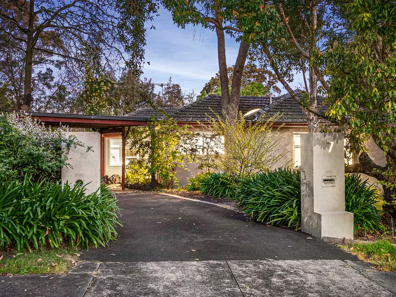Peaceful Family Retreat Nestled in Treetops