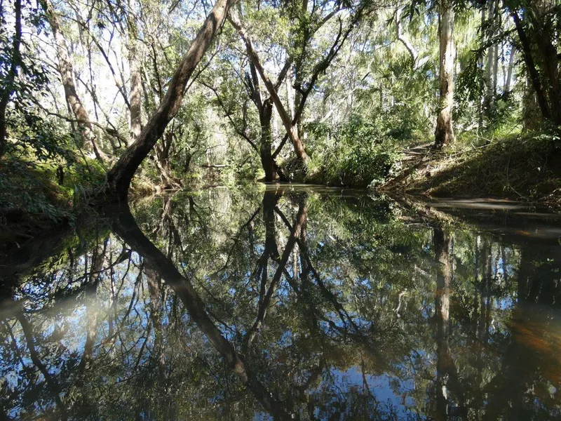 SUBTROPICAL RAINFOREST ON 40 ACRES