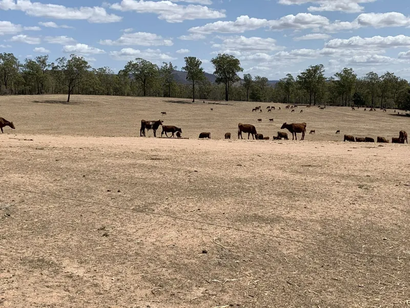 LAIDLEY HEIGHTS. 40.47 HECTARES.