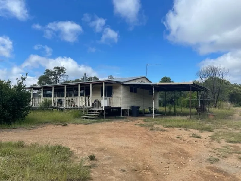 Start from Scratch or Stand to the Challange