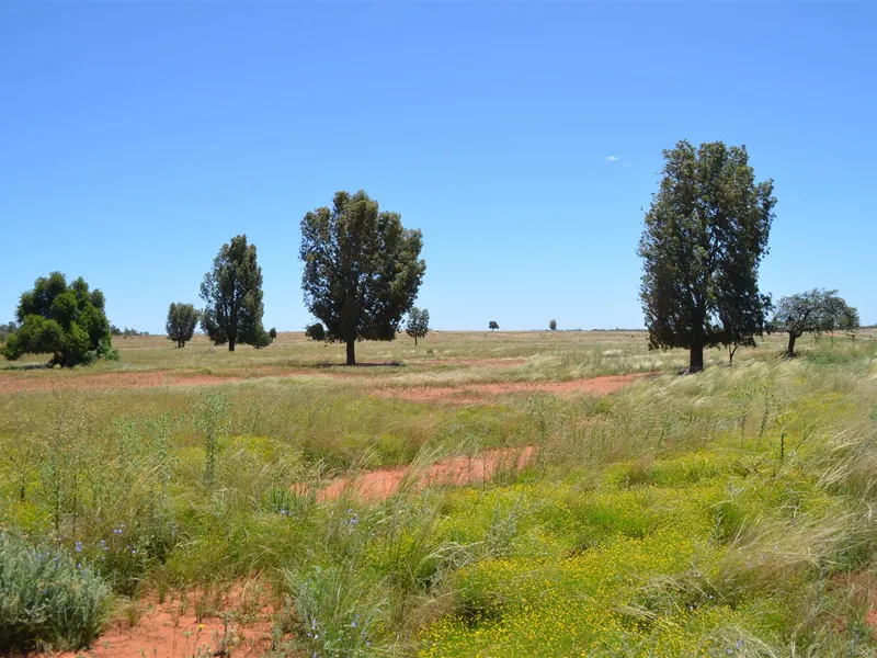 Windera Station