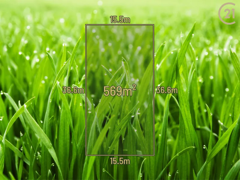 LAND, OPPORTUNITY AND REWARDS!