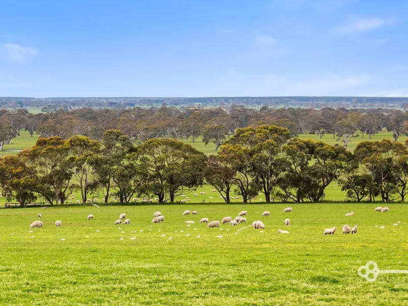 318.88 ACRES GRAZING LAND - HIGH RAINFALL AREA
