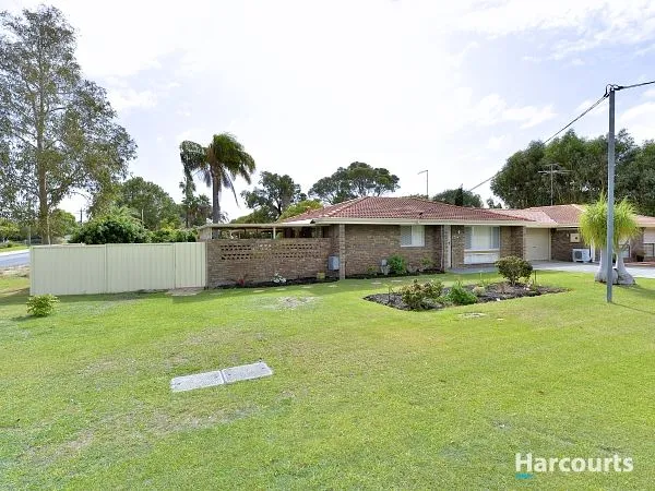 Neat & Tidy Absolute Gem *BREAK LEASE*