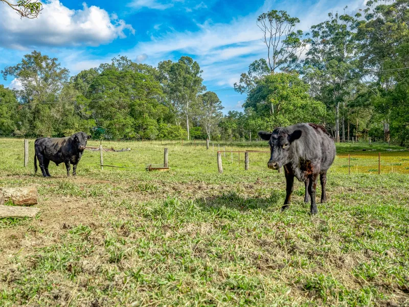 Large Acreage Property with Nine Horse/Cattle Paddocks with potential to subdivide