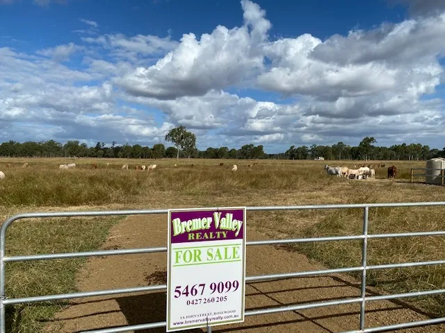 OVER 39 ACRES, PRIME GRAZING, AWAITING YOUR HOME