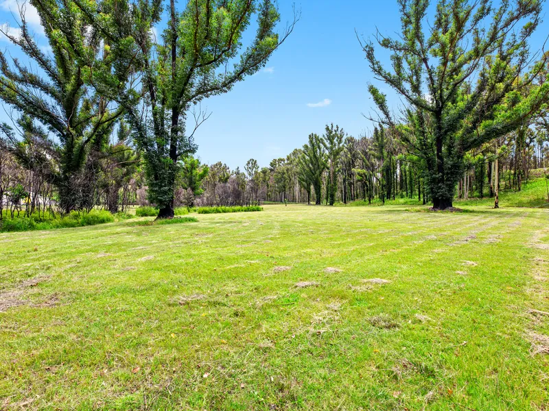 Just imagine your dream home here!