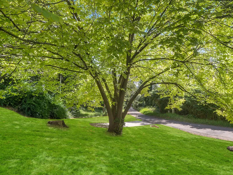 Premium Land Parcel Nestled Among the Tree Tops