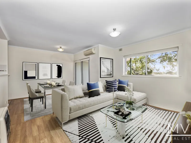 Treetop Views From Your Elevated Apartment!