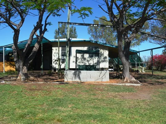 Position and Lifestyle