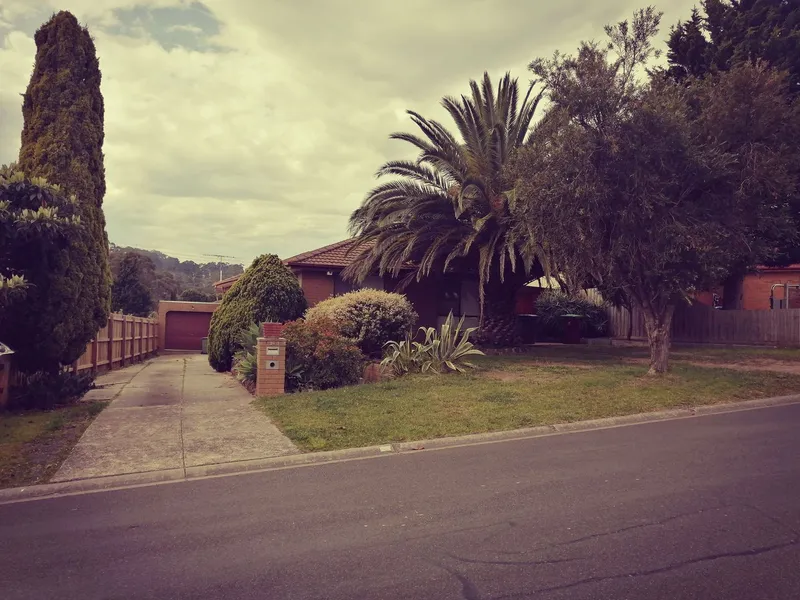 Large Modern Family Home