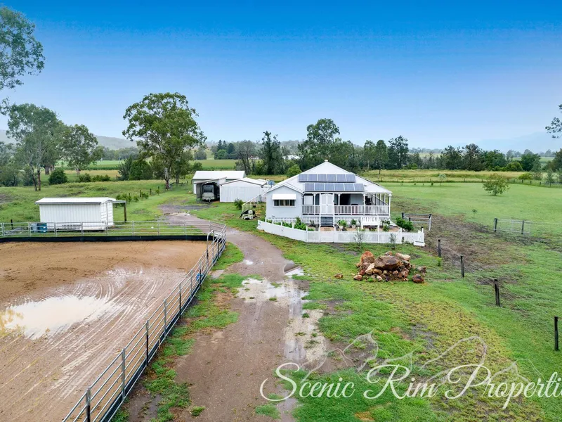 Equine Paradise