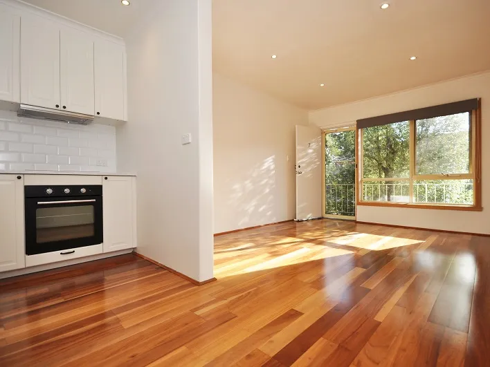 BRILLIANTLY BRIGHT WITH LEAFY OUTLOOKS