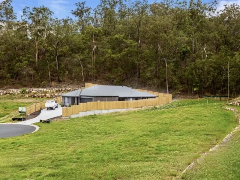 BUSH BACKDROP WITH TAMBORINE OUTLOOK!