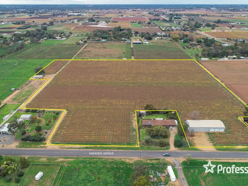 Blue Chip 20 Acre Vineyard on Karadoc Avenue