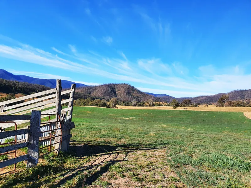 Fertile grazing block ~ 535 Neringla Road, Neringla