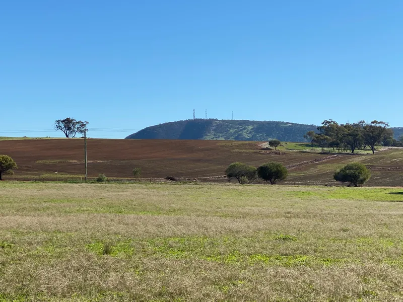 Rare find at a realistic price to sell 10 acre block edge of town