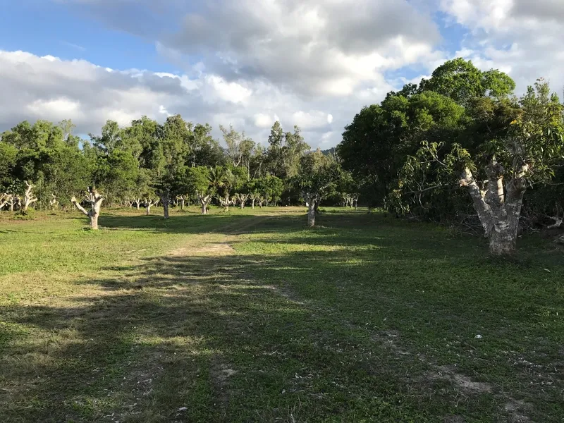 THIS IS RARE... Freehold acreage with tidal creek frontage!