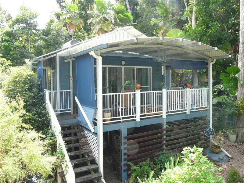 NESTLED IN THE RAINFOREST